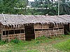 'Fitchuk' hut (photo: Njei M.T)